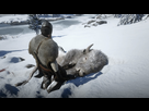 https://image.noelshack.com/fichiers/2020/46/1/1604944638-red-dead-redemption-2-20201109184735.jpg