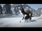 https://image.noelshack.com/fichiers/2020/46/1/1604944649-red-dead-redemption-2-20201109184613.jpg