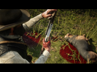 https://image.noelshack.com/fichiers/2020/46/1/1604950273-red-dead-redemption-2-20201109163948.jpg