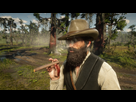 https://image.noelshack.com/fichiers/2020/46/1/1604950280-red-dead-redemption-2-20201109164140.jpg