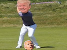 https://image.noelshack.com/fichiers/2020/46/2/1605022630-trumpgolf.png