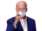 https://image.noelshack.com/fichiers/2020/46/3/1605056659-bidenok.png