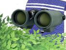 https://image.noelshack.com/fichiers/2020/46/3/1605128986-1566428773-serviet-matant-sous-un-buisson-17.png