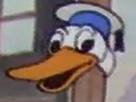 https://image.noelshack.com/fichiers/2020/46/6/1605378166-1524261005-donald-duck.png