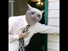 https://image.noelshack.com/fichiers/2020/47/2/1605649156-119823675-10224142440847622-1757648770545659398-n.jpg