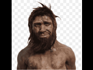https://image.noelshack.com/fichiers/2020/47/3/1605722314-b0aec740-2bc2-4b89-a51e-fa802e74923a.png