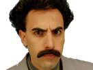 https://image.noelshack.com/fichiers/2020/47/3/1605724929-borat3.png