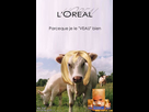 https://image.noelshack.com/fichiers/2020/47/4/1605811427-veau.jpg