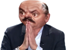 https://image.noelshack.com/fichiers/2020/47/4/1605816974-papa.png