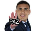 https://image.noelshack.com/fichiers/2020/47/4/1605818863-paz.jpg