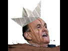 https://image.noelshack.com/minis/2020/47/5/1605863257-guiliani.png