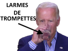 https://image.noelshack.com/fichiers/2020/48/2/1606239305-bidenboit.png