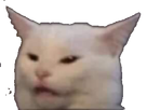 https://image.noelshack.com/fichiers/2020/48/5/1606470352-151947-full.png