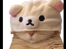 https://image.noelshack.com/minis/2020/48/7/1606617605-1606513745-evscruwuwaisymw-removebg-preview.png