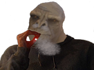https://image.noelshack.com/fichiers/2020/48/7/1606664854-sans-tibtre.png