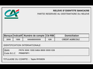 https://image.noelshack.com/fichiers/2020/49/1/1606741103-ribcreditagricole2.jpg