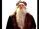 https://image.noelshack.com/fichiers/2020/49/1/1606751535-29936cad-cf86-4491-94e8-0cdc5422ff0a.png