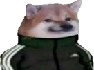 https://image.noelshack.com/fichiers/2020/49/3/1606949766-1606079803-doggo.png