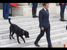 https://image.noelshack.com/fichiers/2020/49/4/1607024385-emmanuel-macron-a-eu-un-coup-de-foudre-pour-son-chien-nemo.jpg