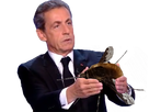 https://image.noelshack.com/fichiers/2020/49/6/1607178829-sarko-scarabe.png