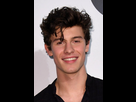 https://image.noelshack.com/fichiers/2020/50/2/1607436045-shawn-mendes.jpg