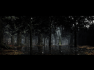 https://image.noelshack.com/fichiers/2020/50/3/1607551650-crucifixion-woods-large.jpg