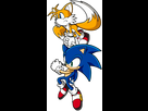 https://image.noelshack.com/fichiers/2020/50/5/1607722031-sonic-and-tails.png