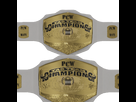 https://image.noelshack.com/fichiers/2020/51/2/1608049697-tagteam.png
