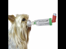 https://image.noelshack.com/minis/2020/51/4/1608190106-aerodawg-in-use.png