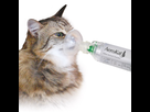 https://image.noelshack.com/minis/2020/51/4/1608190106-inhalator-fuer-katzen-aerokat-flow-trudell-191401-3.png