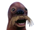 https://image.noelshack.com/fichiers/2020/51/6/1608401670-1485903374-1471429161-stickermorse.png