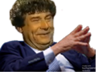 https://image.noelshack.com/fichiers/2020/51/6/1608410570-195901-full.png