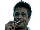 https://image.noelshack.com/fichiers/2020/51/7/1608482887-brad.png
