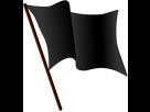 https://image.noelshack.com/fichiers/2020/52/3/1608759890-black-flag-waving-svg.png