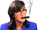 https://image.noelshack.com/fichiers/2020/53/1/1609186365-cathie-wood-cigar-sticker.png