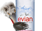 https://image.noelshack.com/fichiers/2021/01/1/1609789574-pelicanfrise-evian.png