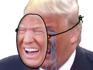 https://image.noelshack.com/fichiers/2021/01/3/1609958428-1604488920-trump-pleure.jpg