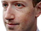 https://image.noelshack.com/fichiers/2021/01/4/1610053525-zuckerbergues.png