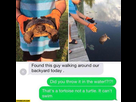 https://image.noelshack.com/fichiers/2021/01/6/1610204398-did-you-throw-it-in-the-water-thats-a-tortoise-not-a-turtle-it-cant-swim.jpg