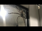 https://image.noelshack.com/fichiers/2021/01/6/1610208003-l-araignee-rencontree-par-le-couple-australien-et-surnommee-aragog-cc7e007930f434f1b3af2c9f29a8fc5158de469d.jpg