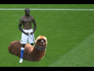 https://image.noelshack.com/fichiers/2021/02/1/1610405026-1341603080-balotelli-lamasticot2.png