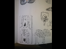 https://image.noelshack.com/fichiers/2021/02/3/1610529409-138468810-1565653533644395-4699764148373891123-n.jpg