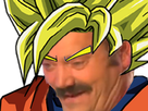 https://image.noelshack.com/fichiers/2021/02/3/1610550653-ahigokussj1.png