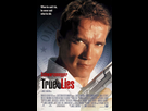 https://image.noelshack.com/fichiers/2021/02/4/1610582895-true-lies-poster.png