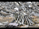 https://image.noelshack.com/fichiers/2021/02/7/1610841059-lake-skeleton.jpg