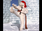 https://image.noelshack.com/fichiers/2021/02/7/1610923534-bonhomme.jpg