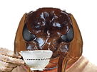 https://image.noelshack.com/fichiers/2021/03/2/1611039962-8dcefbfd-0727-4b37-bd98-373542ae3002.png