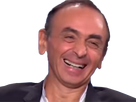 https://image.noelshack.com/fichiers/2021/03/4/1611226428-zemmour20.png