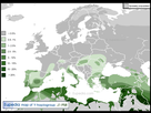 https://image.noelshack.com/fichiers/2021/04/1/1611572604-12-02-58-haplogroup-j1-p58.png
