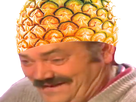 https://image.noelshack.com/fichiers/2021/04/1/1611583002-c74f84bf-5c01-4457-a265-e26c7ac77920.png